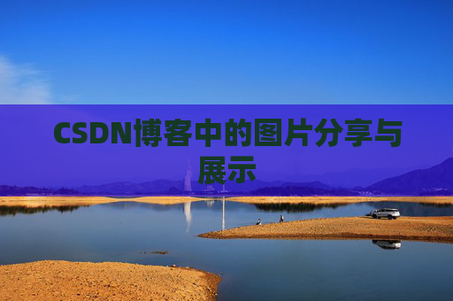 CSDN博客中的图片分享与展示